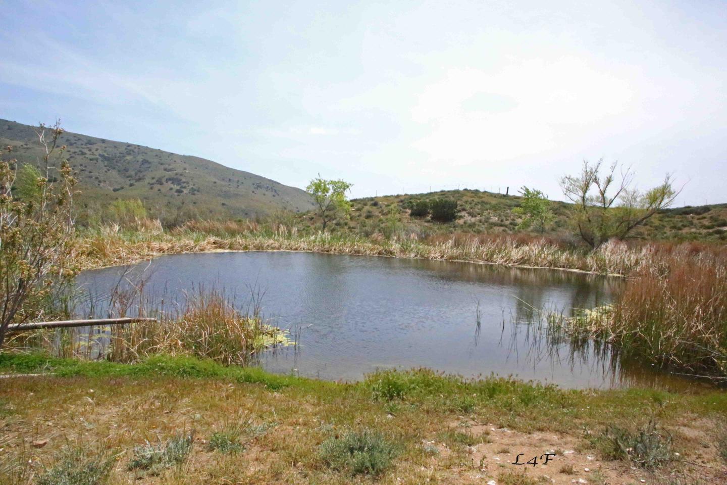 West - Ranch Pond - 35900 