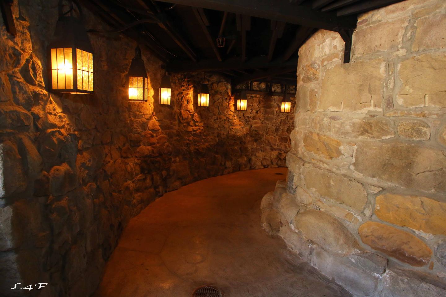 Newhall Mansion - Basement - 829